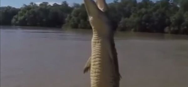 Crocodile Magic - Sputnik Србија