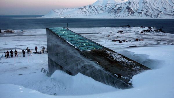 Trezor za čuvanje žitarica u Svalbardu - Sputnik Srbija