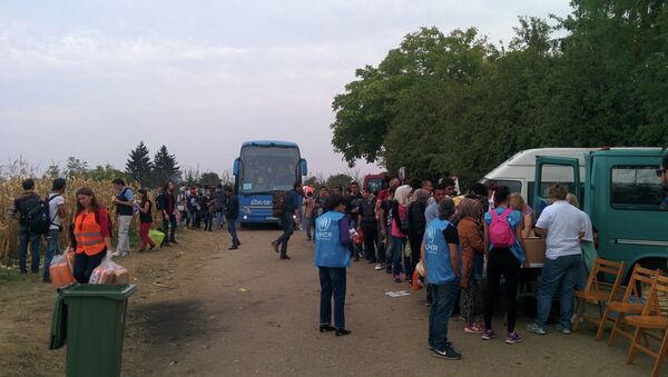 Волонтери УНХЦР са избеглицама на српско-хрватској граници - Sputnik Србија