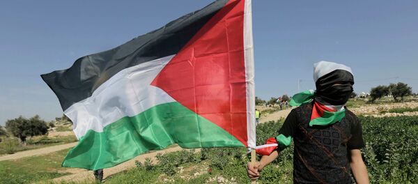 Протестант са заставом Палестине Протестант са заставом Палестине - Sputnik Србија