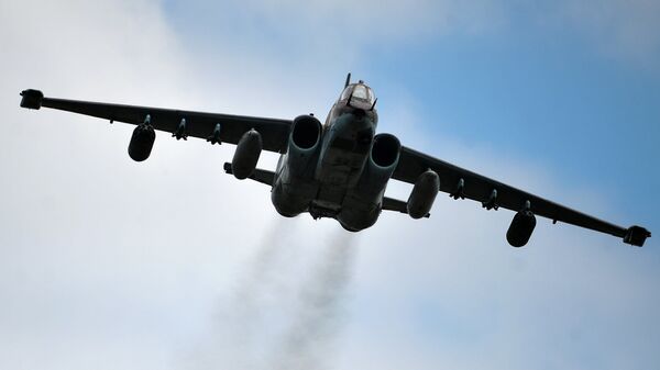 Lovac-bombarder Su-24 - Sputnik Srbija