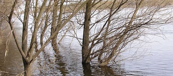 Vodostaj reke, ilustracija Vodostaj reke, ilustracija - Sputnik Srbija