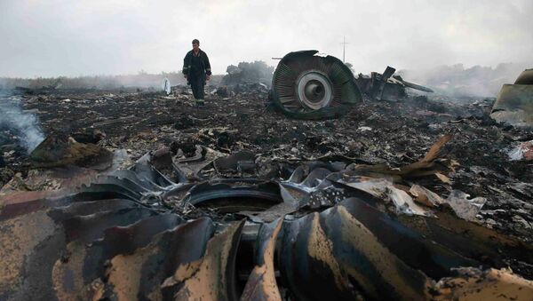 Место пада авиона „боинг 777“ компаније „Малезија ерлајнс“ - Sputnik Србија