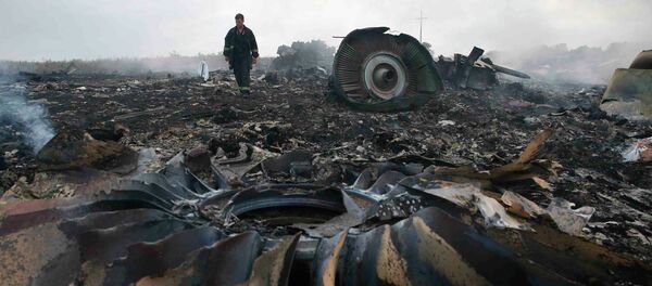 Mesto pada aviona „boing 777“ kompanije „Malezija erlajns“ Mesto pada aviona „boing 777“ kompanije „Malezija erlajns“ - Sputnik Srbija
