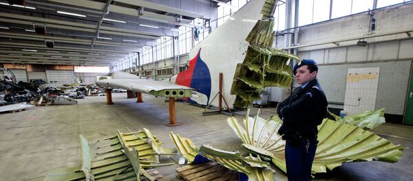 Delovi malezijskog aviona MH17 - Sputnik Srbija