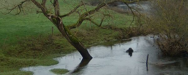Због изливања Тамнаве ангажован Тим са спасавање - Sputnik Србија