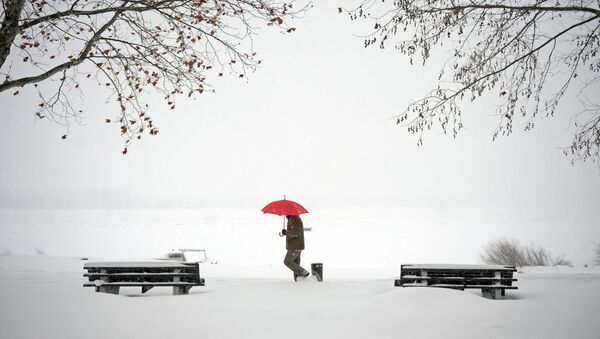 Čovek šeta kroz sneg dunavskim kejom u Zemunu. - Sputnik Srbija