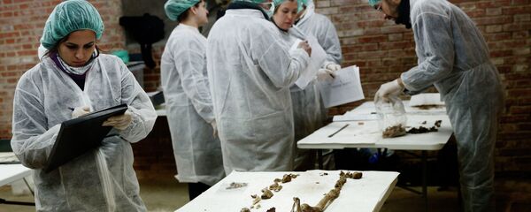 Тим археолога и антрополагоа ради на идентификацији скелета - Sputnik Србија