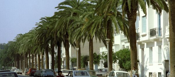 Pogled na Tunis Pogled na Tunis - Sputnik Srbija