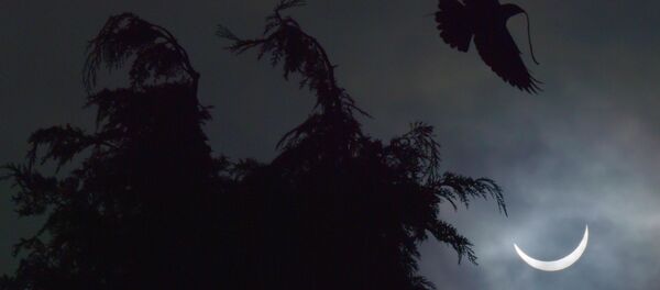 Pomračenje sunca - Sputnik Srbija