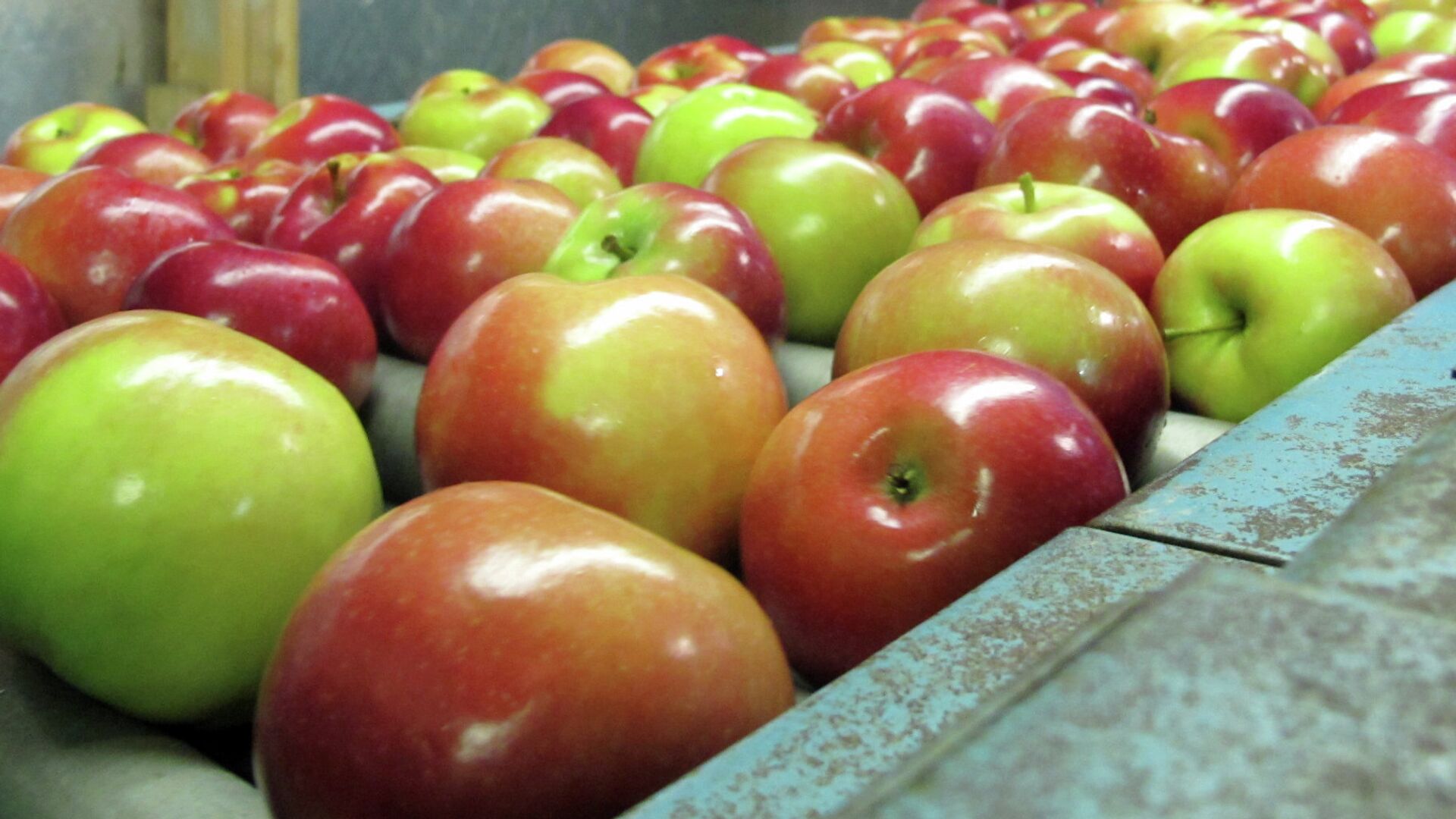 Сербия в основном импортирует яблоки из Северная Македония и картофель из Нидерландов и Франции