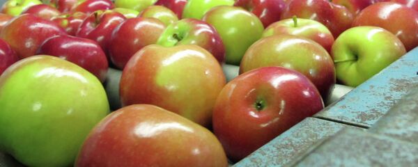 јабуке - Sputnik Србија