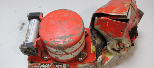 Crna kutija nemačkog aviona - Sputnik Srbija