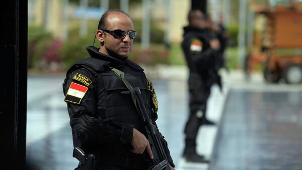 Египатска полиција - Sputnik Србија