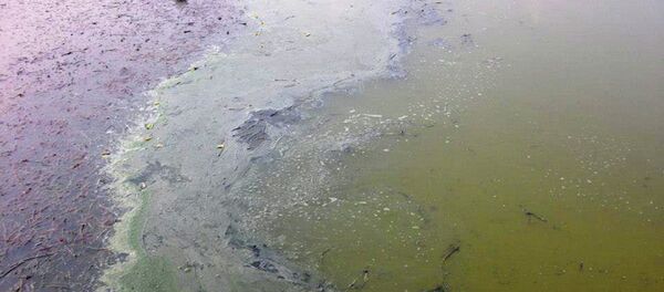 Aleksandrovačko jezero - Sputnik Srbija