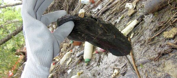 Призор снимљен на реци Колубари, који изазива ужасавање и револт посматрача - Sputnik Србија