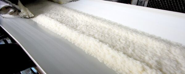 Šećer Šećer - Sputnik Srbija