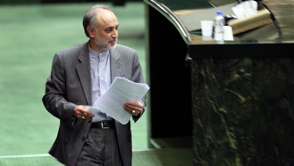 Ali Akbar Salehi, predsednik iranske agencije za atomsku energiju - Sputnik Srbija