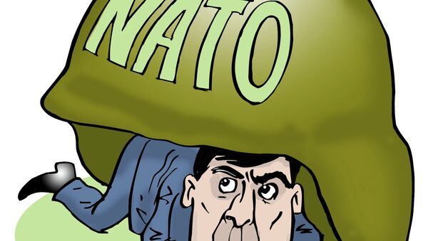 Pod zaštitom NATO - Sputnik Srbija